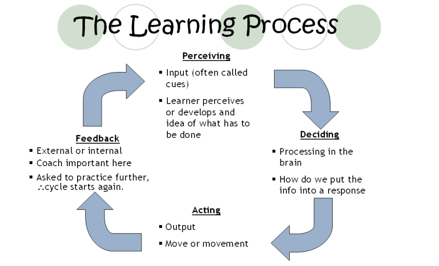 learning-process